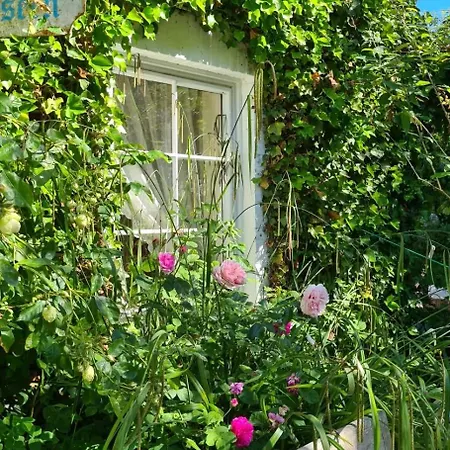 Bed and Breakfast Herzog Friedlich Garni 3*